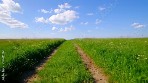 A grassy path through a meadow leads to the horizon under a bright blue sky dotted with clouds
