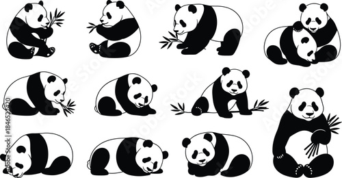 Panda silhouette poses, bamboo eating, cuddling, resting, playful moments, cartoon style, flat vector