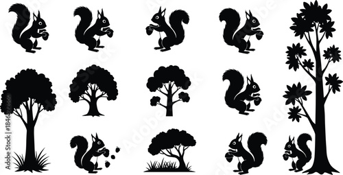 Squirrel and tree silhouettes, acorn poses, forest nature elements, wildlife scene, flat vector
