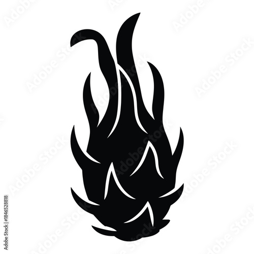 Whole dragon fruit pitahaya exotic fruit with pointy scales black and white vector illustration isolated on a clean white background