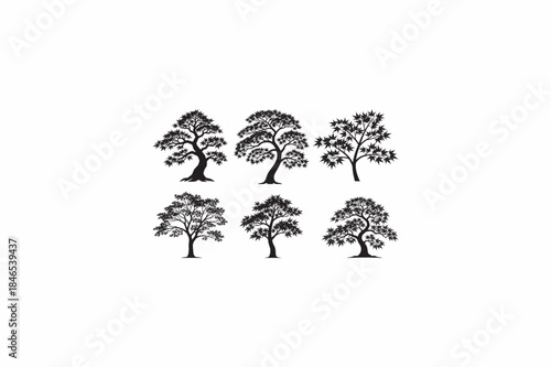 Japanese Maple tree vector silhouettes black image. .eps