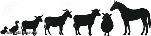 Farm animal silhouettes vector set, ducks, pig, donkey, goat, cow, sheep, horse, simple black profiles for education, children, identification