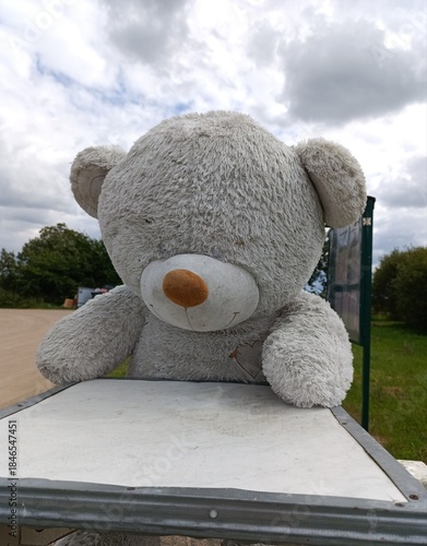 an abandoned large white teddy bear