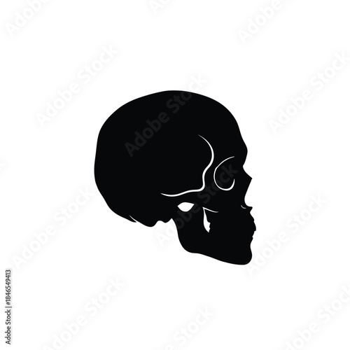 Black skull silhouette on transparent background