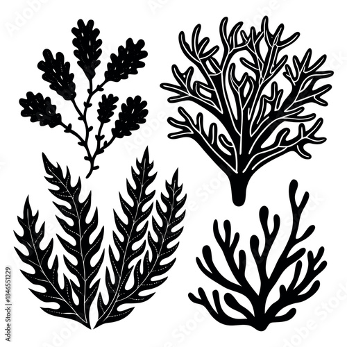 Black silhouettes of seaweeds and corals with white texture details, set of marine underwater plants vector illustration
