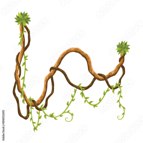 Liana branch. Twisted wild jungle vine plants. Woody natural tropical rainforest, exotic botany element. Vector design element