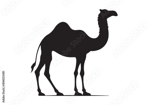 camel logo silhouette vector, camel animal logo vector silhouette illustration, black icon logo camel silhouette, arabian animal wildlife camel logo silhouettes vector on white background