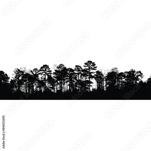 Silhouette of pine trees on transparent background