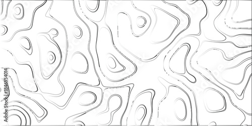 Abstract topographic map style contour lines in grayscale on a white background, creating a fluid, organic, and visually intriguing pattern for modern design and conceptual graphics