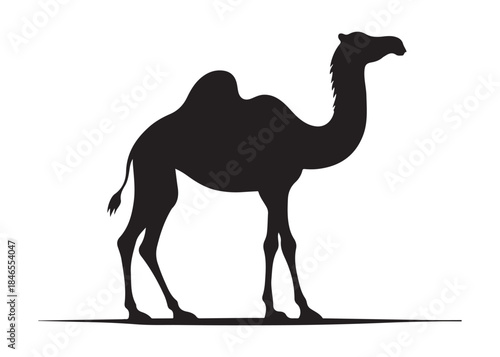 camel logo silhouette vector, camel animal logo vector silhouette illustration, black icon logo camel silhouette, arabian animal wildlife camel logo silhouettes vector on white background