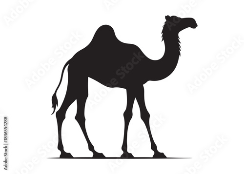 camel logo silhouette vector, camel animal logo vector silhouette illustration, black icon logo camel silhouette, arabian animal wildlife camel logo silhouettes vector on white background