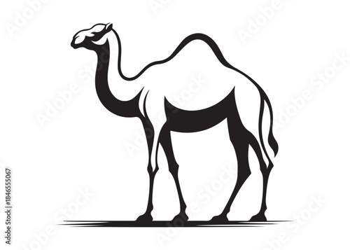 camel logo silhouette vector, camel animal logo vector silhouette illustration, black icon logo camel silhouette, arabian animal wildlife camel logo silhouettes vector on white background