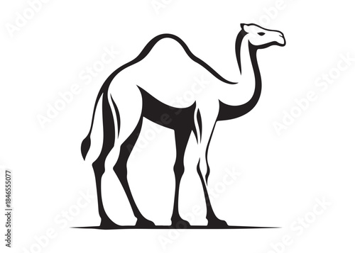 camel logo silhouette vector, camel animal logo vector silhouette illustration, black icon logo camel silhouette, arabian animal wildlife camel logo silhouettes vector on white background