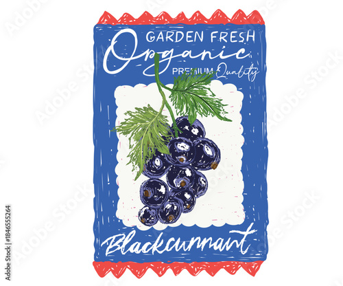 Blackcurrant sticker design. Fresh farmers market design. Black currant artwork for t shirt print, poster, sticker and other uses.