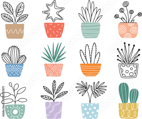 Collection of potted houseplants and succulents in colorful pots on transparent background