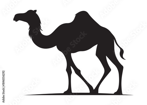 camel logo silhouette vector, camel animal logo vector silhouette illustration, black icon logo camel silhouette, arabian animal wildlife camel logo silhouettes vector on white background