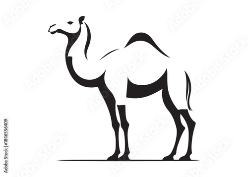 camel logo silhouette vector, camel animal logo vector silhouette illustration, black icon logo camel silhouette, arabian animal wildlife camel logo silhouettes vector on white background
