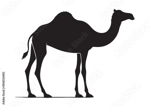 camel logo silhouette vector, camel animal logo vector silhouette illustration, black icon logo camel silhouette, arabian animal wildlife camel logo silhouettes vector on white background