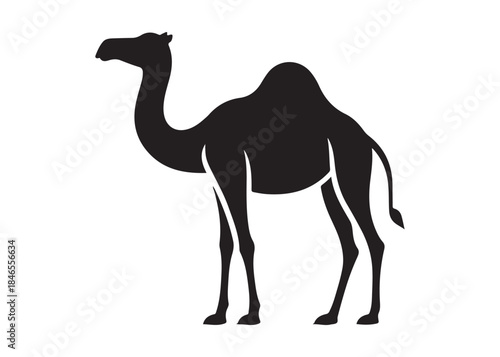 camel logo silhouette vector, camel animal logo vector silhouette illustration, black icon logo camel silhouette, arabian animal wildlife camel logo silhouettes vector on white background