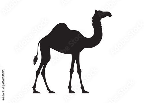 camel logo silhouette vector, camel animal logo vector silhouette illustration, black icon logo camel silhouette, arabian animal wildlife camel logo silhouettes vector on white background