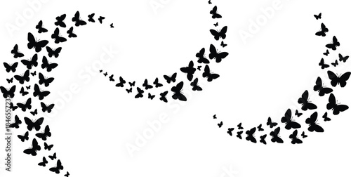  Black butterfly silhouettes in elegant curved flight trails, abstract nature design, minimal vector art for decoration, tattoo, wallpaper, and graphic projects