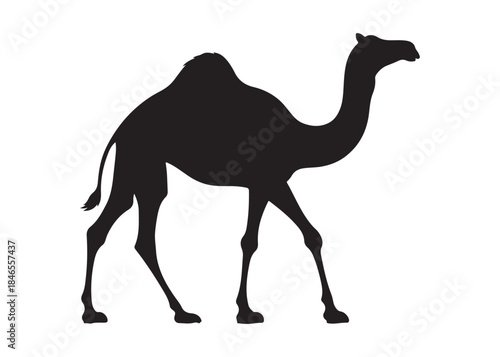 camel logo silhouette vector, camel animal logo vector silhouette illustration, black icon logo camel silhouette, arabian animal wildlife camel logo silhouettes vector on white background