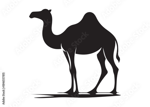 camel logo silhouette vector, camel animal logo vector silhouette illustration, black icon logo camel silhouette, arabian animal wildlife camel logo silhouettes vector on white background