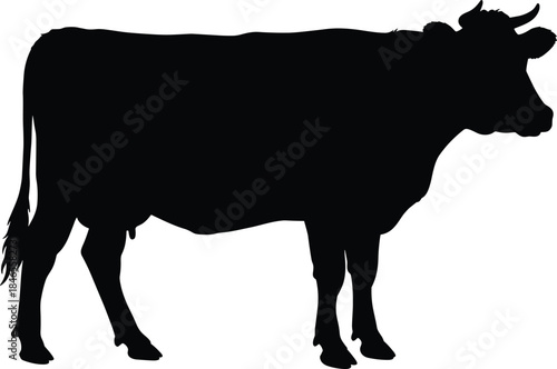 Black cow silhouette vector illustration, grazing farm animal icon, horned bovine profile, minimalist livestock shape, rural agriculture design element, educational, logo, stamp