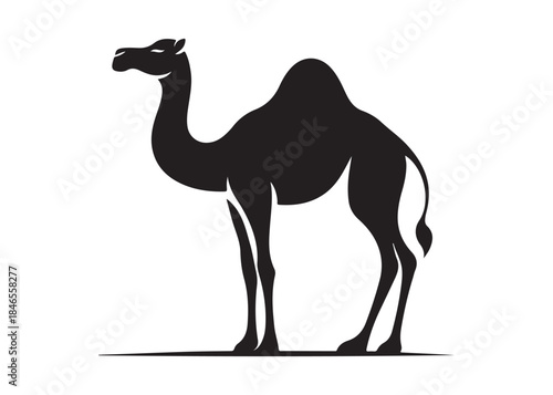 camel logo silhouette vector, camel animal logo vector silhouette illustration, black icon logo camel silhouette, arabian animal wildlife camel logo silhouettes vector on white background