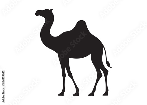 camel logo silhouette vector, camel animal logo vector silhouette illustration, black icon logo camel silhouette, arabian animal wildlife camel logo silhouettes vector on white background