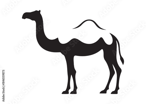camel logo silhouette vector, camel animal logo vector silhouette illustration, black icon logo camel silhouette, arabian animal wildlife camel logo silhouettes vector on white background