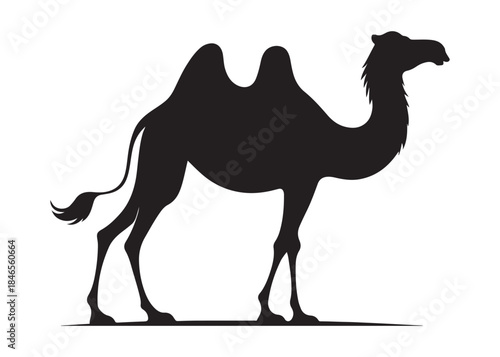 camel logo silhouette vector, camel animal logo vector silhouette illustration, black icon logo camel silhouette, arabian animal wildlife camel logo silhouettes vector on white background