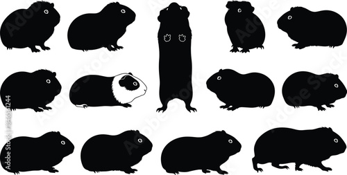Expressive Guinea Pig Silhouettes in Varied Poses and Profiles for Artistic Reference, Identification, and Educational Illustration Purposes