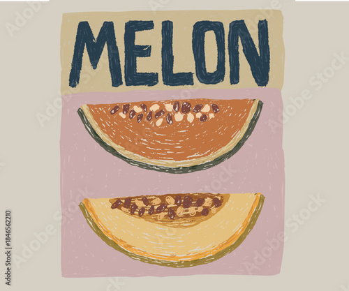 Organic Melon fruit artwork for t shirt and poster. Fruits of the spirit. Melon love club. Nature fruit club print design.