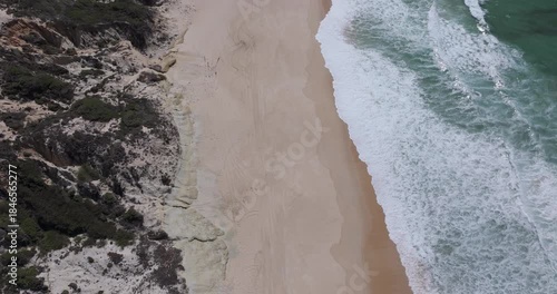 Angled top-down aerial view of waves rolling onto an empty sandy beach beneath rugged coastal vegetation on the wild Alentejo coast, Portugal