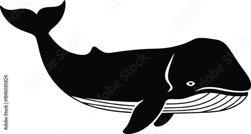 Large black and white whale silhouette vector illustration with raised tail isolated on a white background for marine life and ocean design.