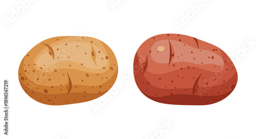 Simple cartoon vector illustration of two common potato varieties a brown russet and a red potato isolated on white background.