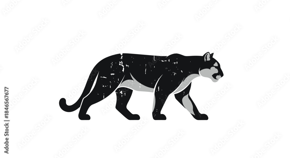 Fototapeta premium Stylized black panther or cougar illustration with a distressed grunge texture walking on a white background perfect for a mascot or logo design.