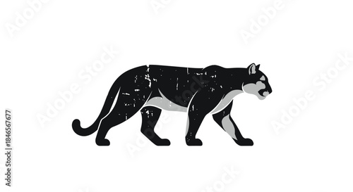 Stylized black panther or cougar illustration with a distressed grunge texture walking on a white background perfect for a mascot or logo design.