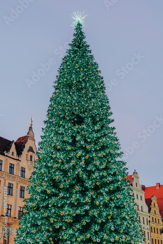 Christmas tree on old town market of Wroclaw. Poland, Europe