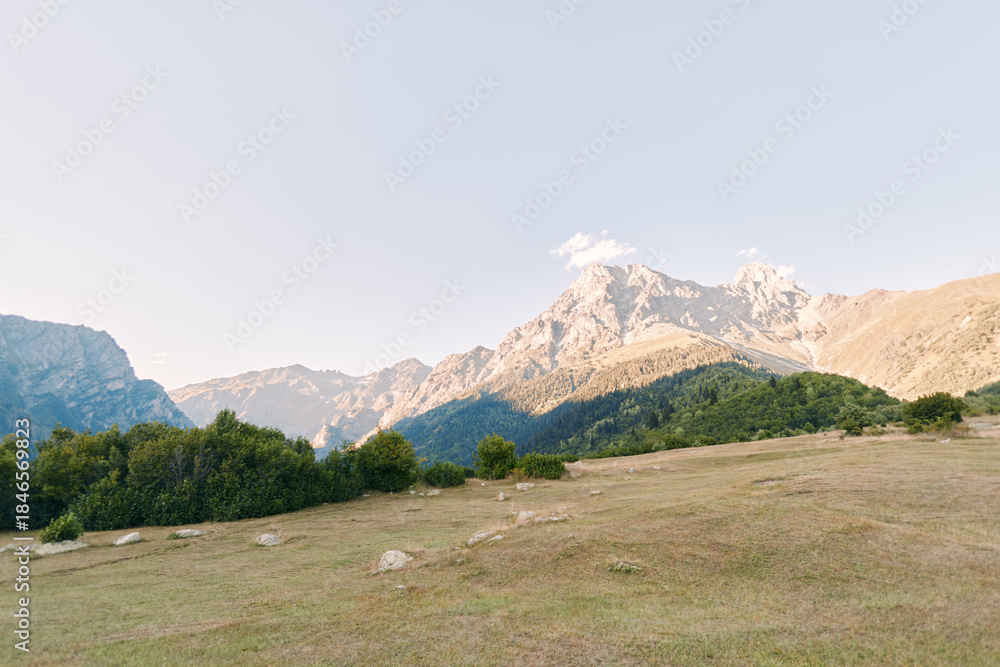 Obraz premium Mountain meadow with grass and scattered shrub on rolling hill, distant rocky peak under clear sky. Wide landscape view for nature, travel, hiking and outdoor scenic scenery.