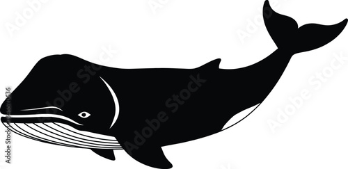 Large black and white whale silhouette vector illustration isolated on a white background for marine life, ocean conservation and sea animal design.