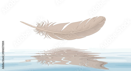 Isolated feather above water reflection creating calming serene visual statement