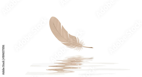 Feather Reflection on Serene Water Surface, Conveying Purity and Calmness with Minimalist Aesthetic