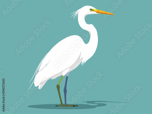 A graceful white egret with a long neck and yellow beak stands against a teal background.