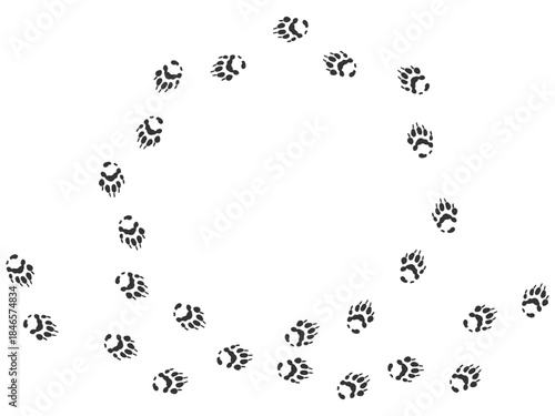 Footprints of Animal, Traces of a wolverine on white background. Wolverine silhouette animal circle tracks. Paw Print. Vector illustration. EPS10.