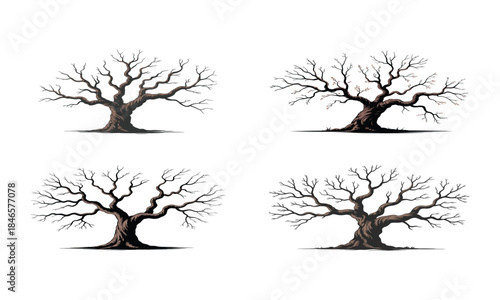 Large leafless tree silhouettes set, old bare trees with spreading branches, nature landscape elements in black
