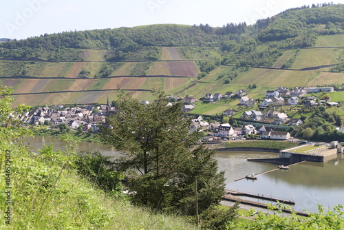 Wanderung und Blick über die Mosel