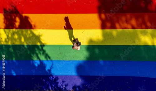 Aerial view of rainbow LGBTQ+ pride paths, with a person walking across the rainbow expressing equality, diversity, and belonging, Melbourne, Victoria, Australia.