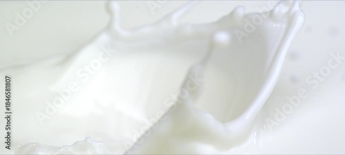 Wallpaper Mural Slow motion almonds falling into milk. Milky splash Torontodigital.ca